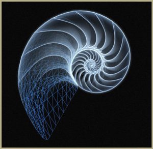 nautilus-jpg1