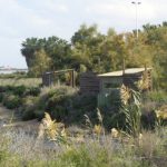 La ruta de la sal
